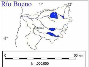 Bueno2.jpg