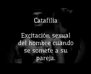 Catafilia.png