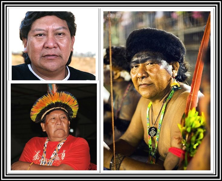 Archivo:David C.Y..jpg