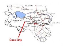 Guamo viejo.JPG