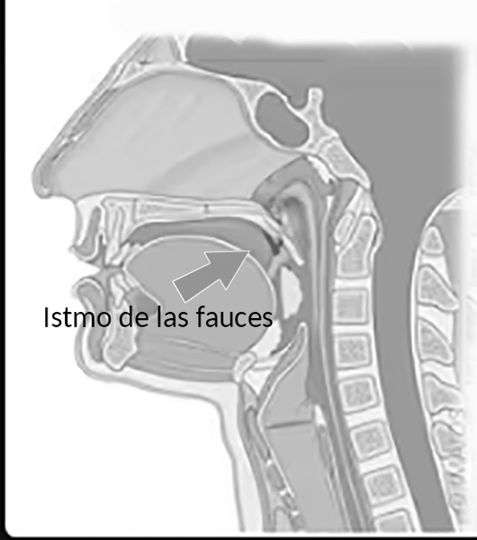 Archivo:1-Istmo de las fauces.png