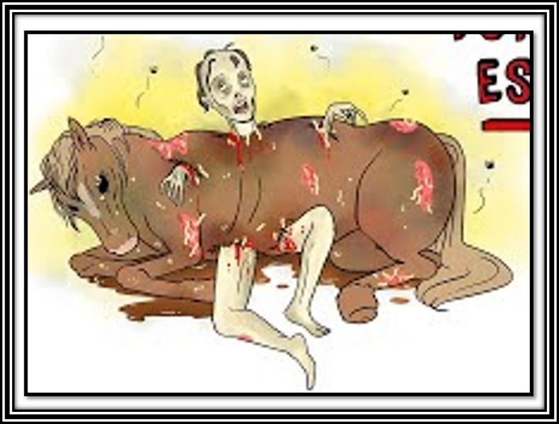 Archivo:Escafismo.jpg