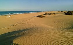 Dunas de Maspalomas.jpg