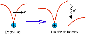 Heterounion1.gif