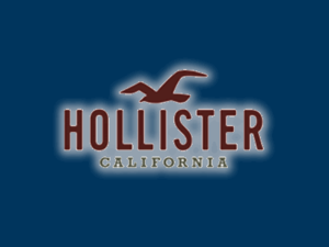 Hollister logo.png