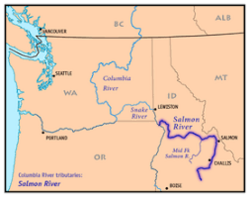 Mapa del río salmon.png