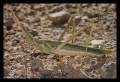 Miniatura de la versión del 15:49 6 dic 2013