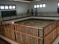 Miniatura de la versión del 09:50 31 ene 2020