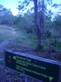 Dsc05483.jpg