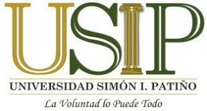 Simonpatiño.jpg