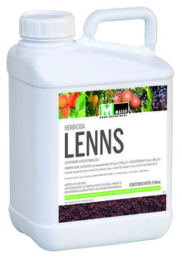 LENNS.jpg