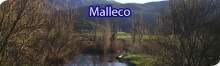 Malleco.jpg