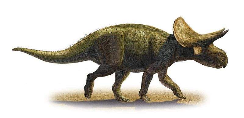 Archivo:Turanoceratops.jpg