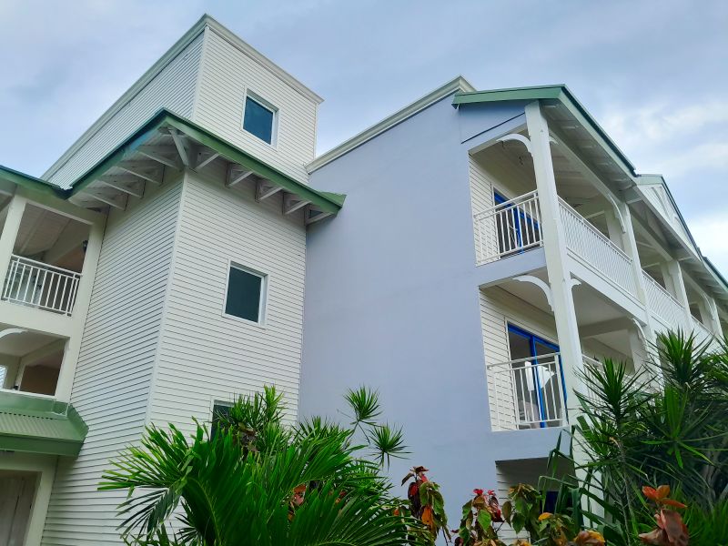 Archivo:CSM Starfish 001.jpeg