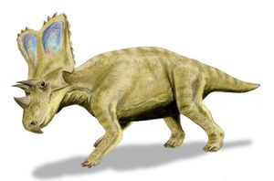 Chasmosaurus.jpg