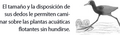 Miniatura de la versión del 11:11 10 dic 2021