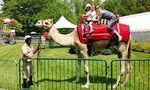 ZOO3.jpg