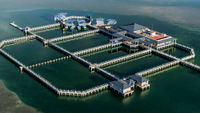 Acuario Delfinario Cayo Santa María.jpg