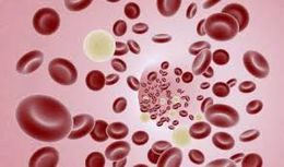 Anemia de colles.jpeg