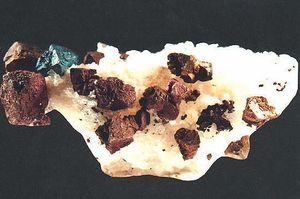 M03501.jpg