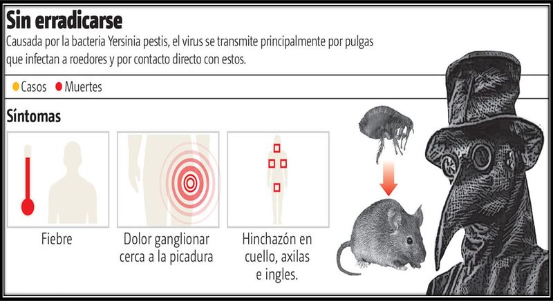 Archivo:Medico de la muerte.jpg