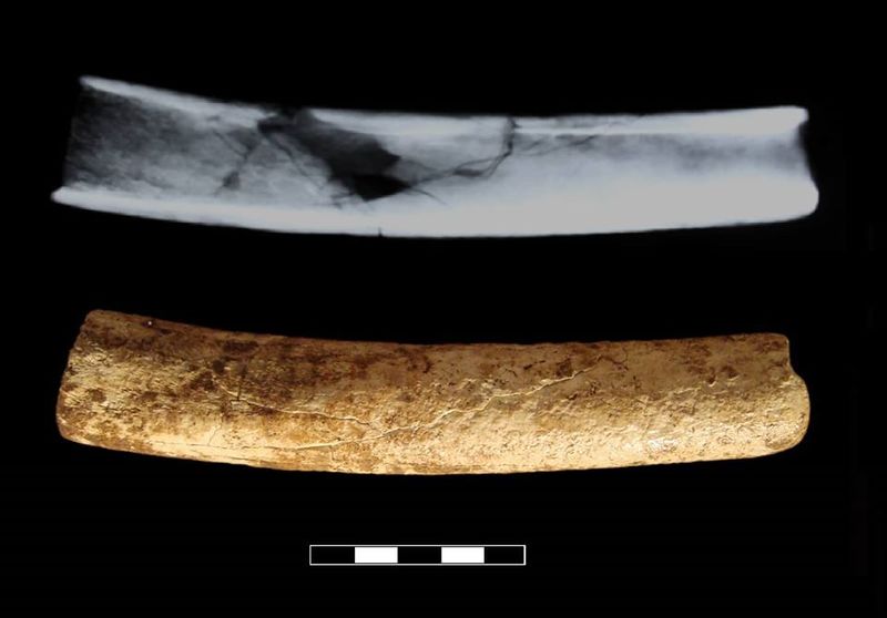 Archivo:Flauta de hueso humano.jpg