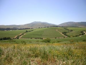 Valle de Leyda.jpg
