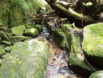 Yakushima.jpg