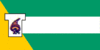 Bandera de Cantón El Triunfo