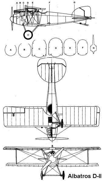 Archivo:Albatrosd2 3v.jpg
