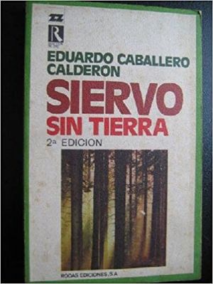 51EQNBfhy-L. SX373 BO1,204,203,200 .jpg