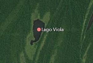 Viola br lago.JPG