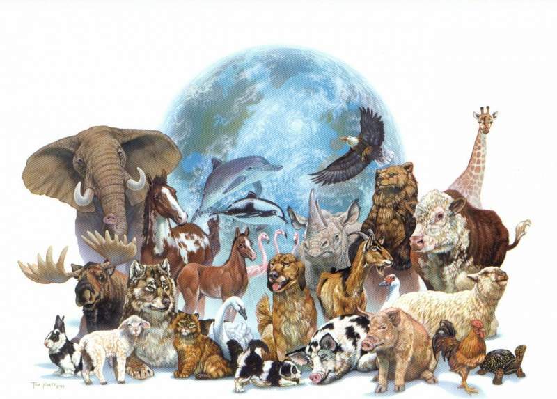 Archivo:Animales.jpg