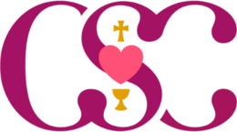 Logo clinica Santa Cecilia.png