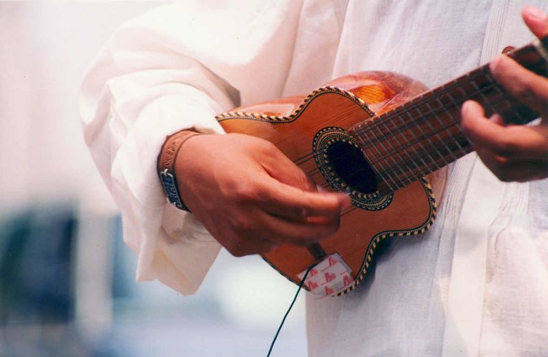 Archivo:Tocando charango.jpg