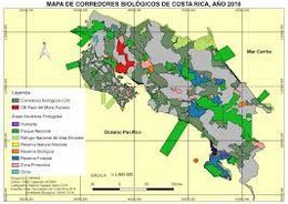 CBPMAmapa.jpg