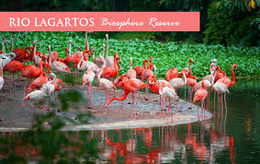 Rio lagartos.jpg