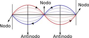 Antinodo.jpg