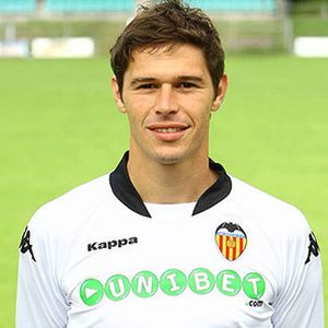 Nikola-Zigic-nikola-zigic-13263332-324-324.jpg