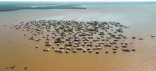 Nueva venecia colombia.JPG