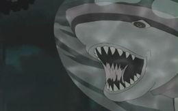 Ruiga Tiburon.jpg