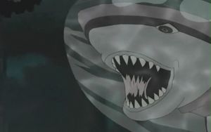 Ruiga Tiburon.jpg