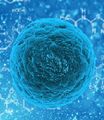 Miniatura de la versión del 10:27 17 ago 2023
