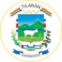 Escudo de Tilarán