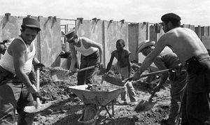 6576-fotografia-g.jpg