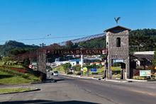 Flores de Cunha.jpg
