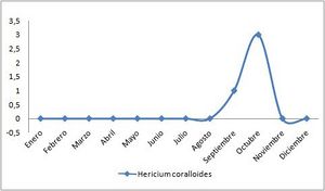 Periodo de aparicion Hericium coralloides fenologia.jpg