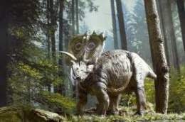 Anchiceratops1.jpg
