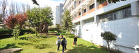 UPLAya ancha.jpg
