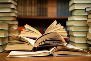 Bibliotecamunicipal.jpg
